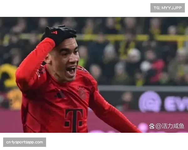 拜仁4比0客胜海登海姆以9分优势领跑德甲进入冬歇期